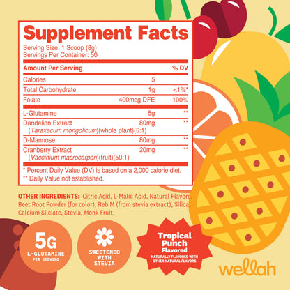 Wellah L-Glutamine Powder Tropical Punch – 50 Servings | 5g per Serving, Stevia