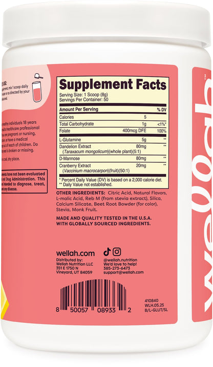 Wellah L-Glutamine Strawberry Lemonade – 50 Servings | 5g per Serving | Stevia-Sweetened