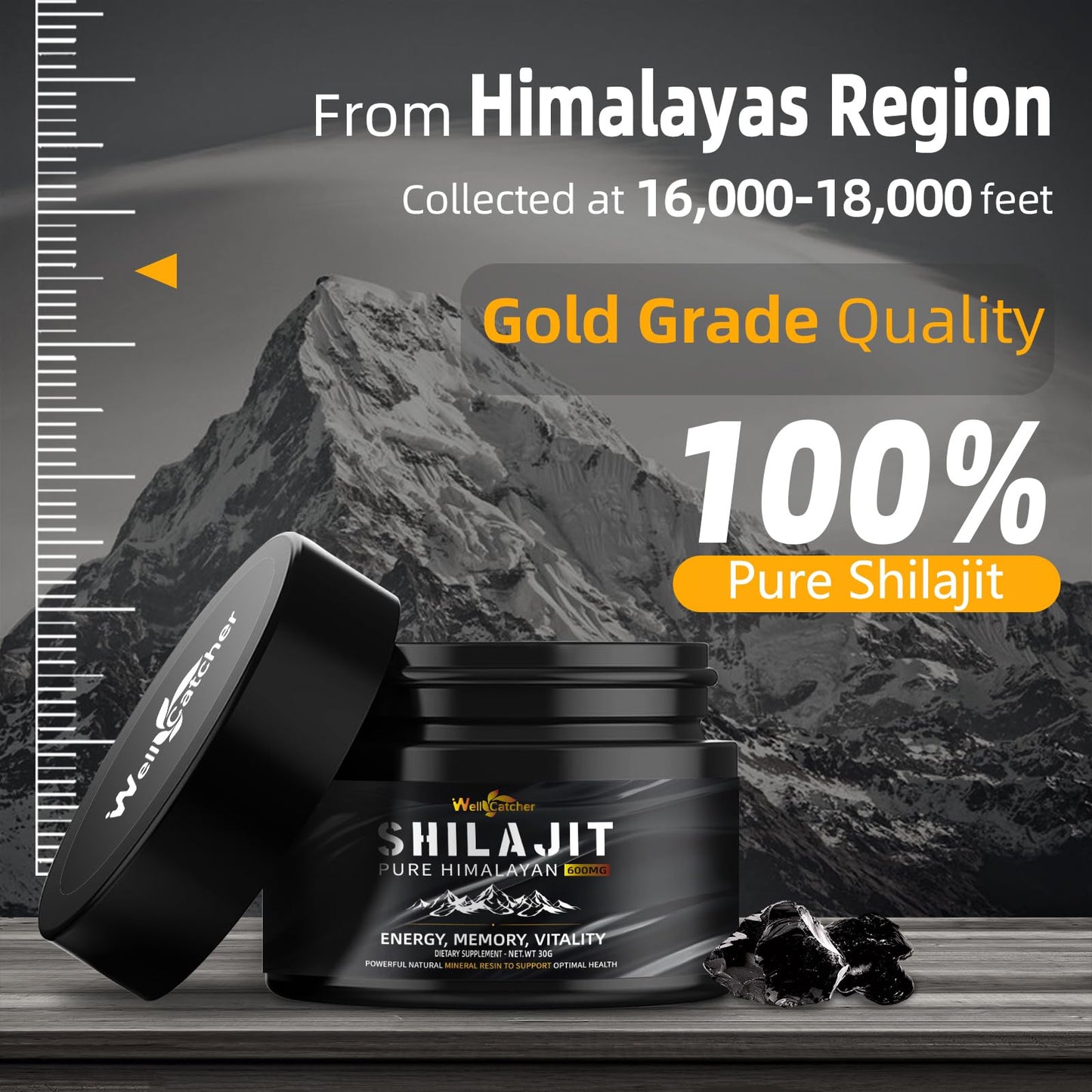 Wellcatcher Pure Himalayan Shilajit Resin – 600mg, 85+ Minerals, 75%+ Fulvic Acid, Energy & Immunity Support, 50 Servings
