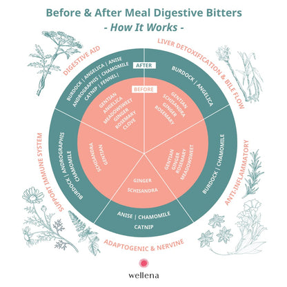 Wellena Liver & Digestive Bitters Kit – Before & After Meal Liquid Herbal Support