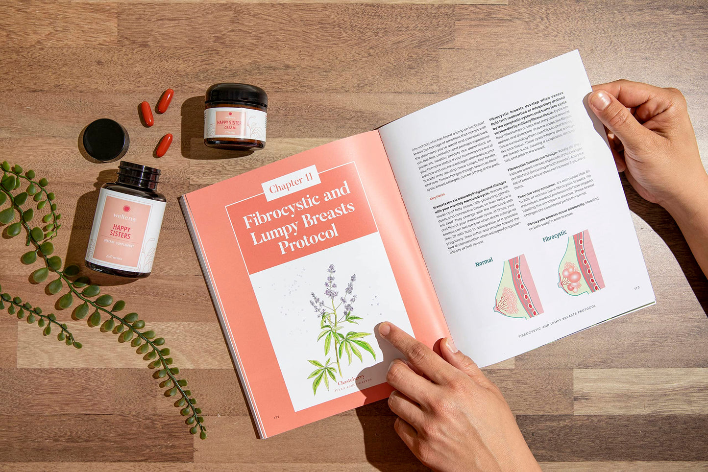 Happy Sisters Wellena Supplement by Magdalena | Supports Estrogen Balance, Lymphatic System, & More! | 60 Vegetarian Capsules, 60-Day Supply