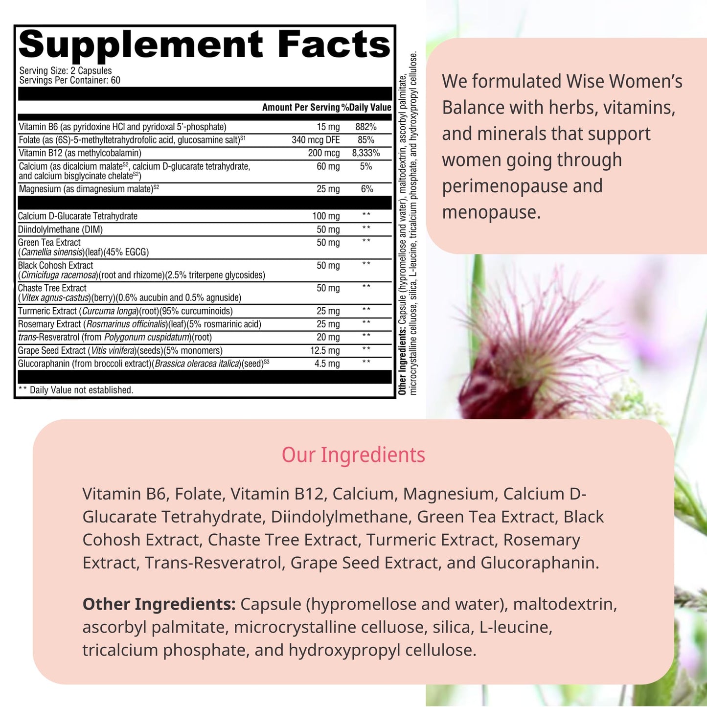 Wellena Wise Women’s Balance by Magdalena – Hormonal Balance for Peri- & Menopause | 120 Vegetarian Capsules, 60-Day Supply