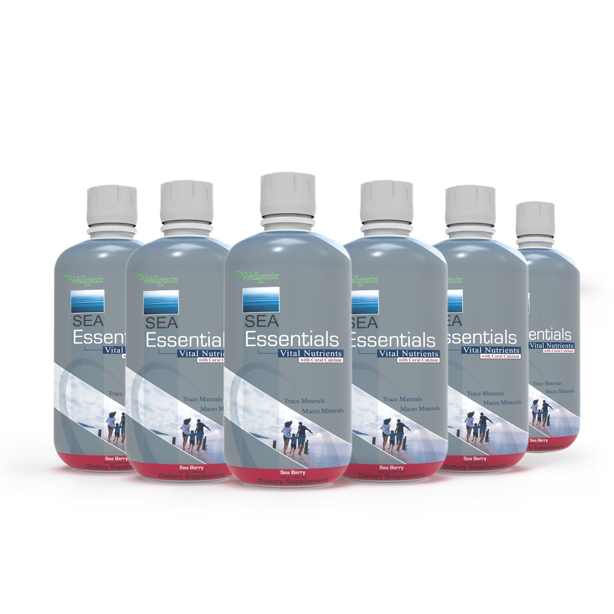 Wellgenix Sea Essentials Liquid Mineral Supplement – Sea Berry Flavor, Coral Calcium & Sea Vegetables (32 fl oz x 6)
