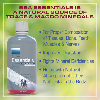 Wellgenix Sea Essentials Liquid Multivitamin with Coral Calcium & Sea Minerals – Sea Berry Flavor (Pack of 2)