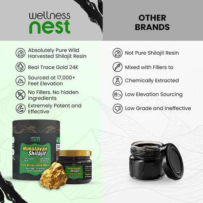 Wellness Nest Gold Grade Shilajit Resin – 24k Gold, 75%+ Fulvic Acid, Lab-Tested 30g
