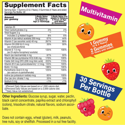 WellYeah Kids Multivitamin Gummies – Immune & Energy Support – Orange & Berry – 60 Count (Pack of 2)