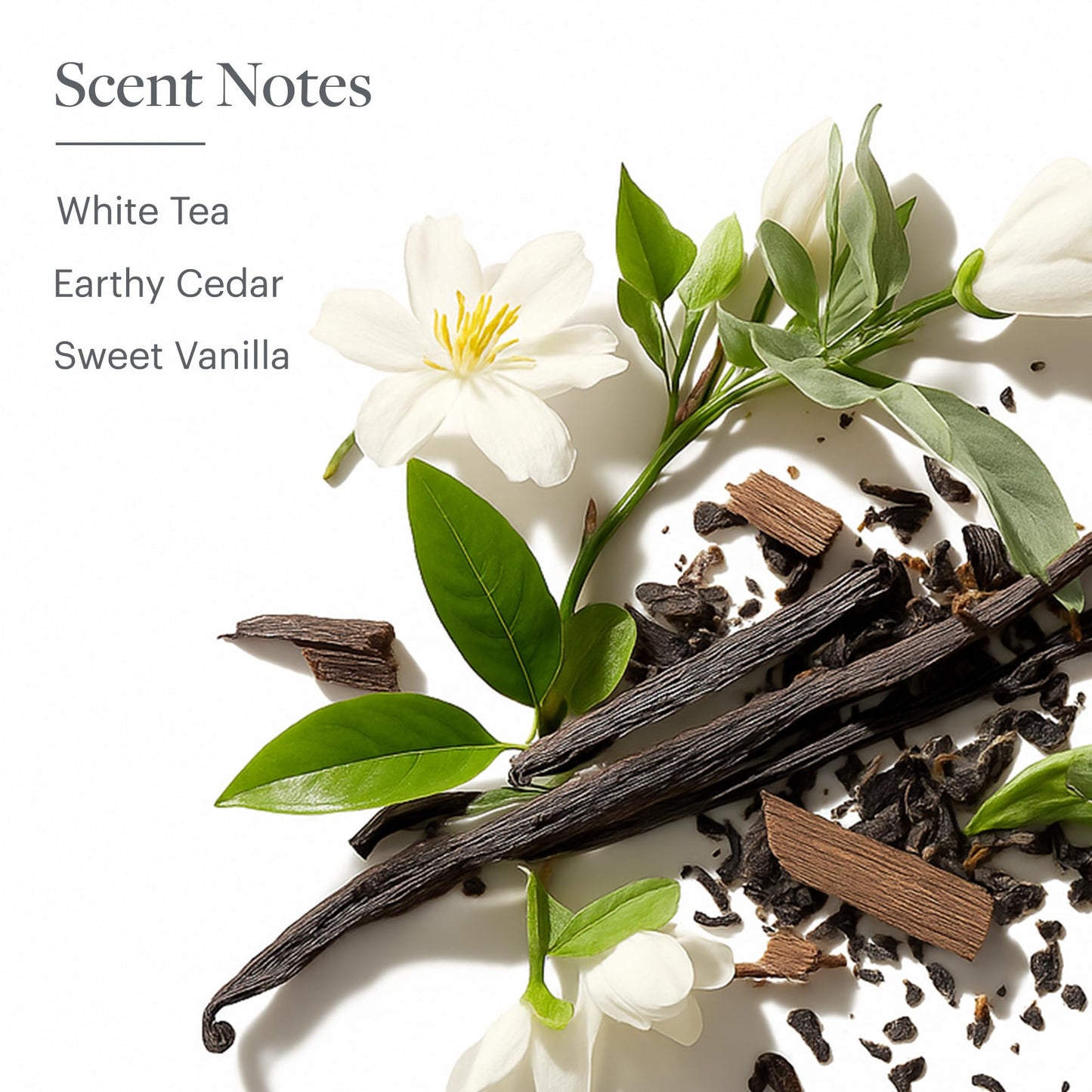 Westin White Tea Diffuser – Home Scent Machine, Hotel-Quality Waterless Fragrance for Large Rooms