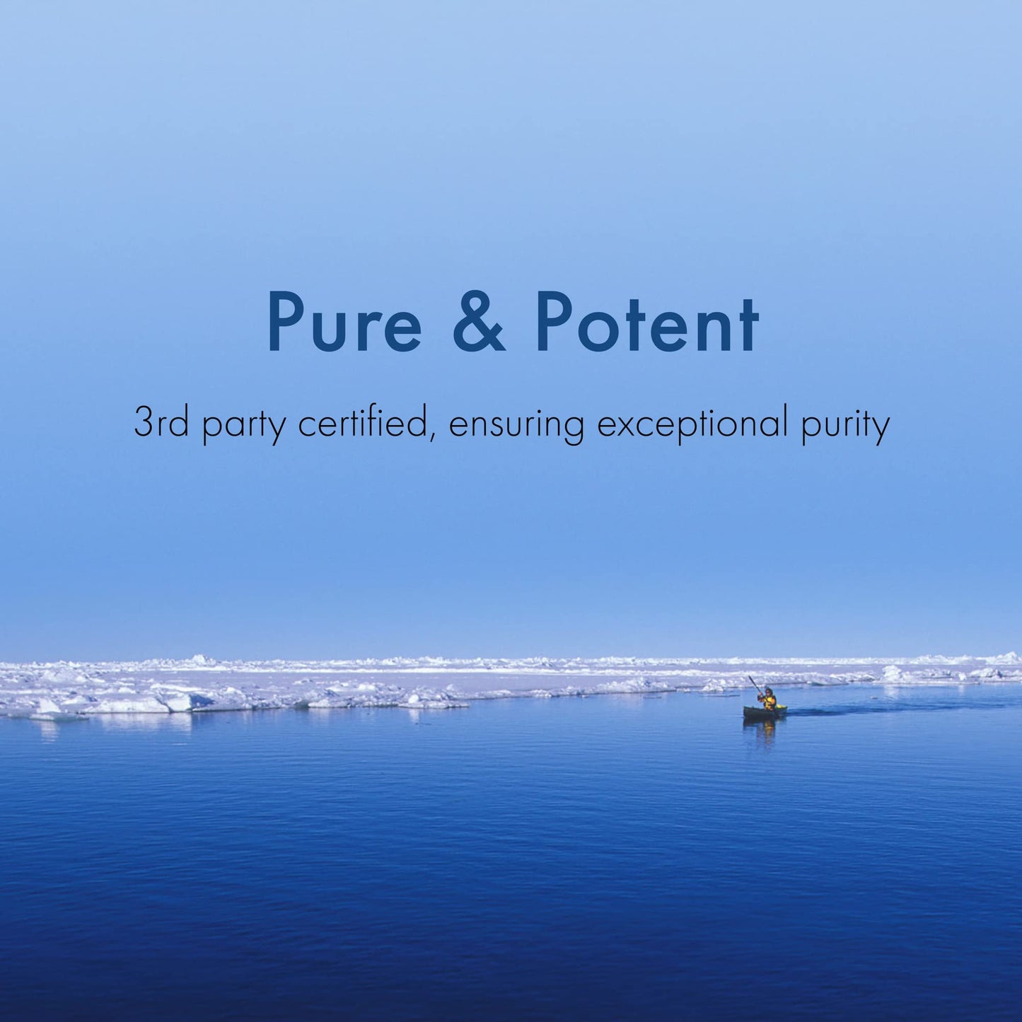 WHC UnoCardio X2 Fish Oil – 1270 mg Omega-3 (EPA 622 mg / DHA 420 mg), r-TG, 60 Softgels