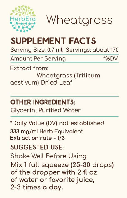 Wheatgrass B120 Alcohol-Free Herbal Extract Tincture - 4 fl oz