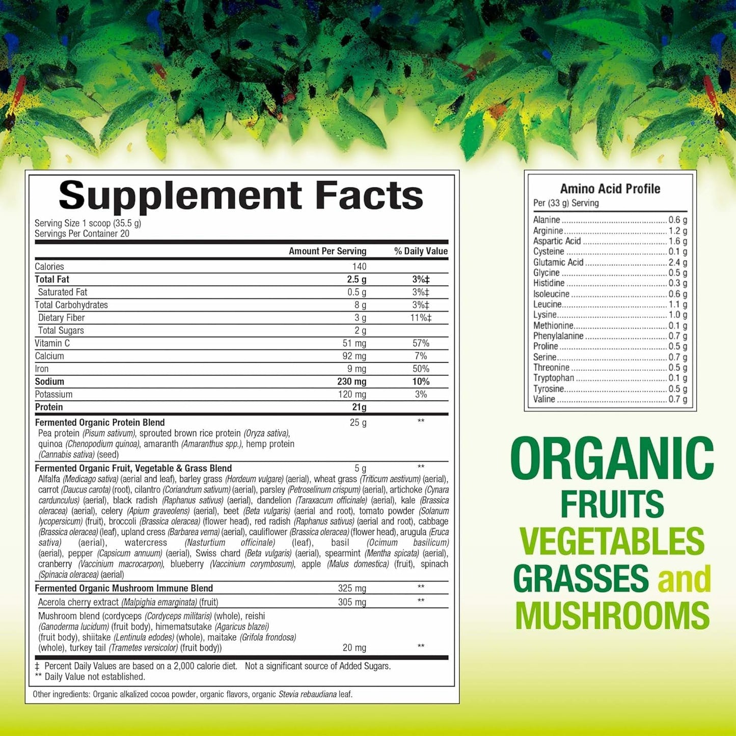 Whole Earth & Sea Organic Fermented Protein & Greens – Vanilla Chai