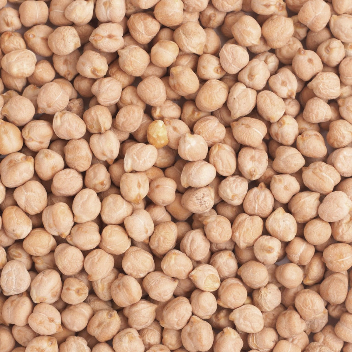 Organic Chickpeas