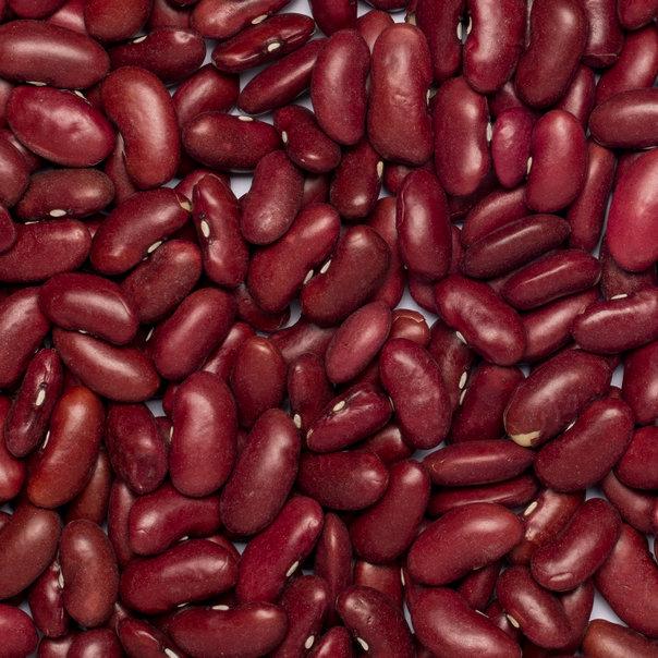 Organic Red Kidney Beans