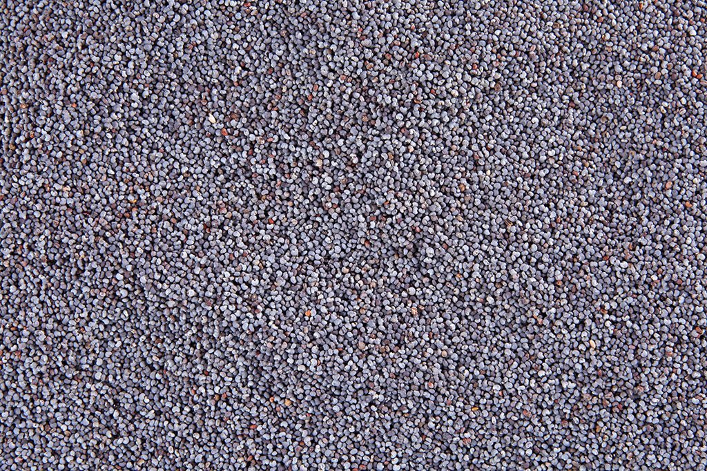 Unwashed Poppy Seeds
