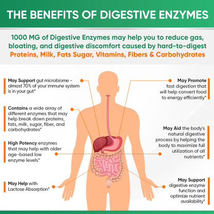 Wholesome Wellness Digestive Enzymes 1000MG + Prebiotics & Probiotics – 180 Capsules, Vegan