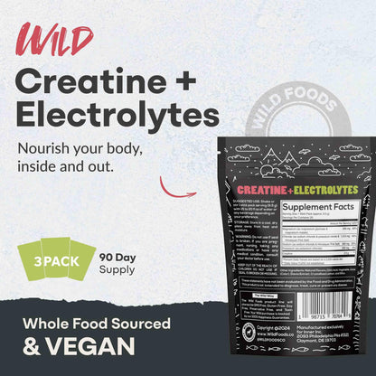Wild Foods Creatine & Electrolytes Powder Packets – Dragonfruit, 20 Packets | Pre-Workout Hydration & Performance