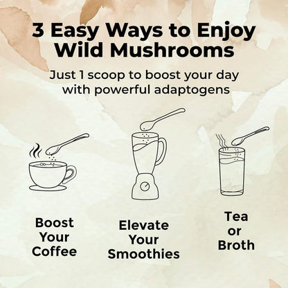 Wild Foods Lions Mane Powder 10:1 Organic Mushroom Extract – 4 oz Pack of 2 | Brain Health & Focus