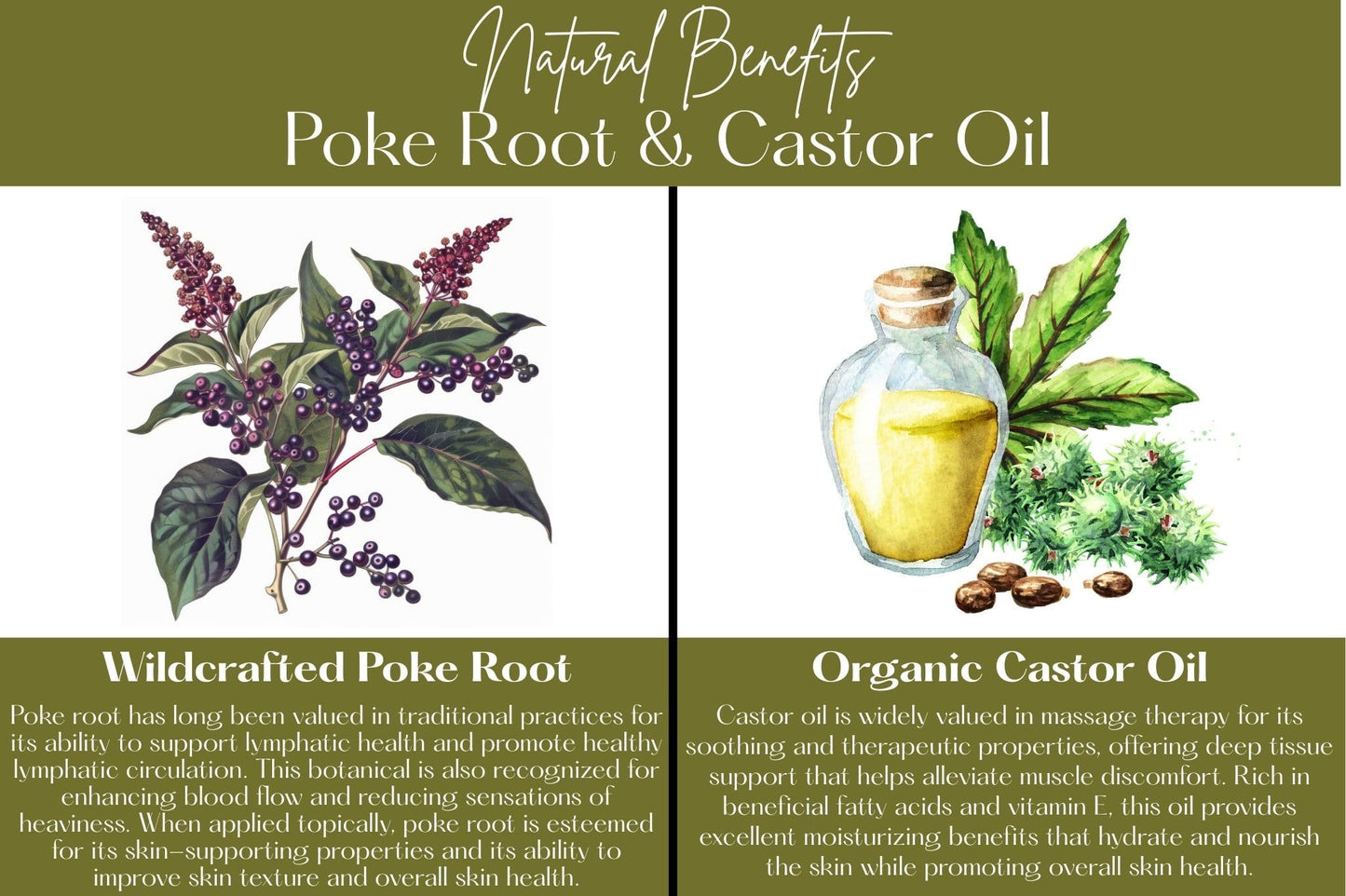 Poke Root & Castor Oil Salve – 1oz, Lymphatic Support & Deep Tissue Relief