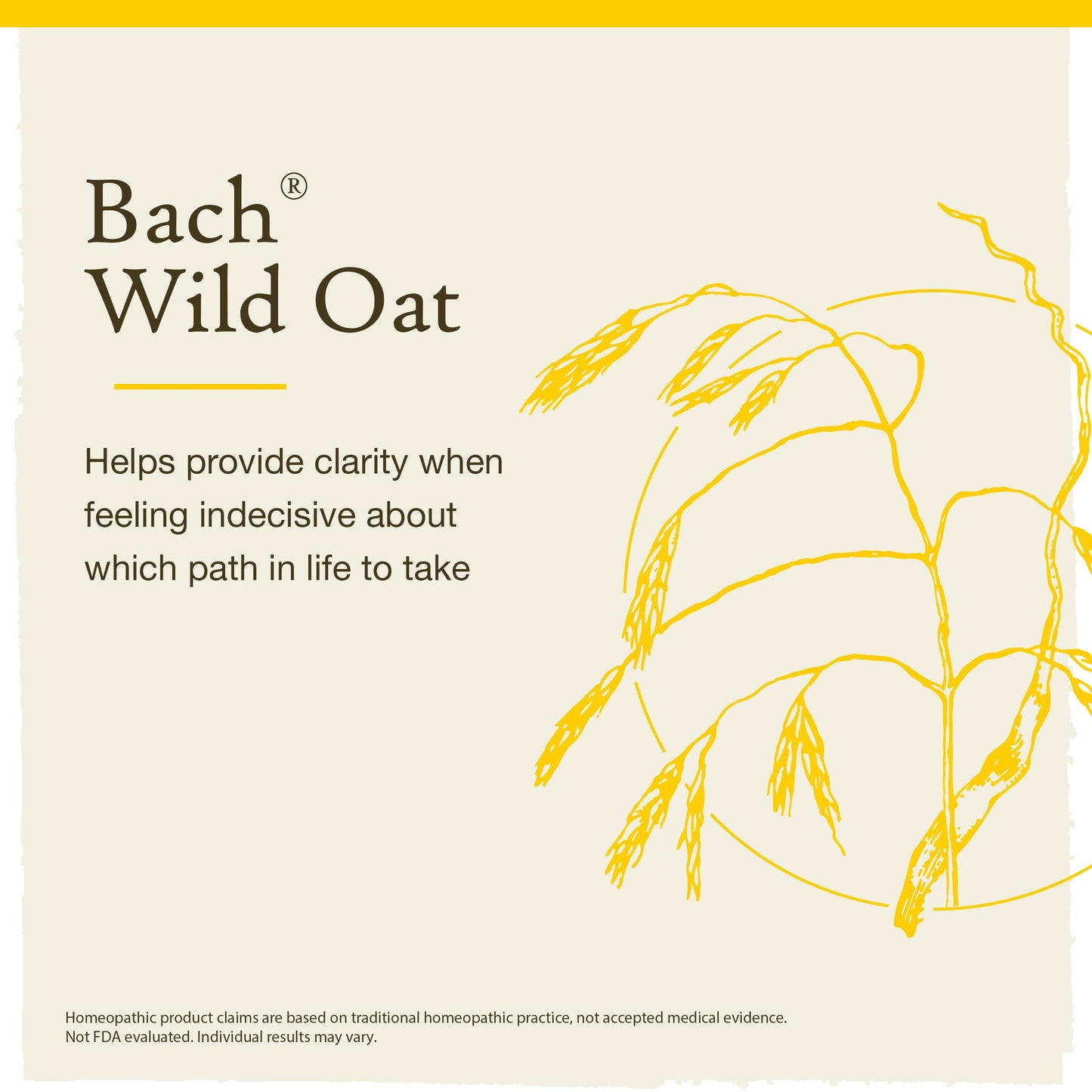 Bach Original Flower Remedies: Wild Oat - Decide Your Path | 20mL Dropper