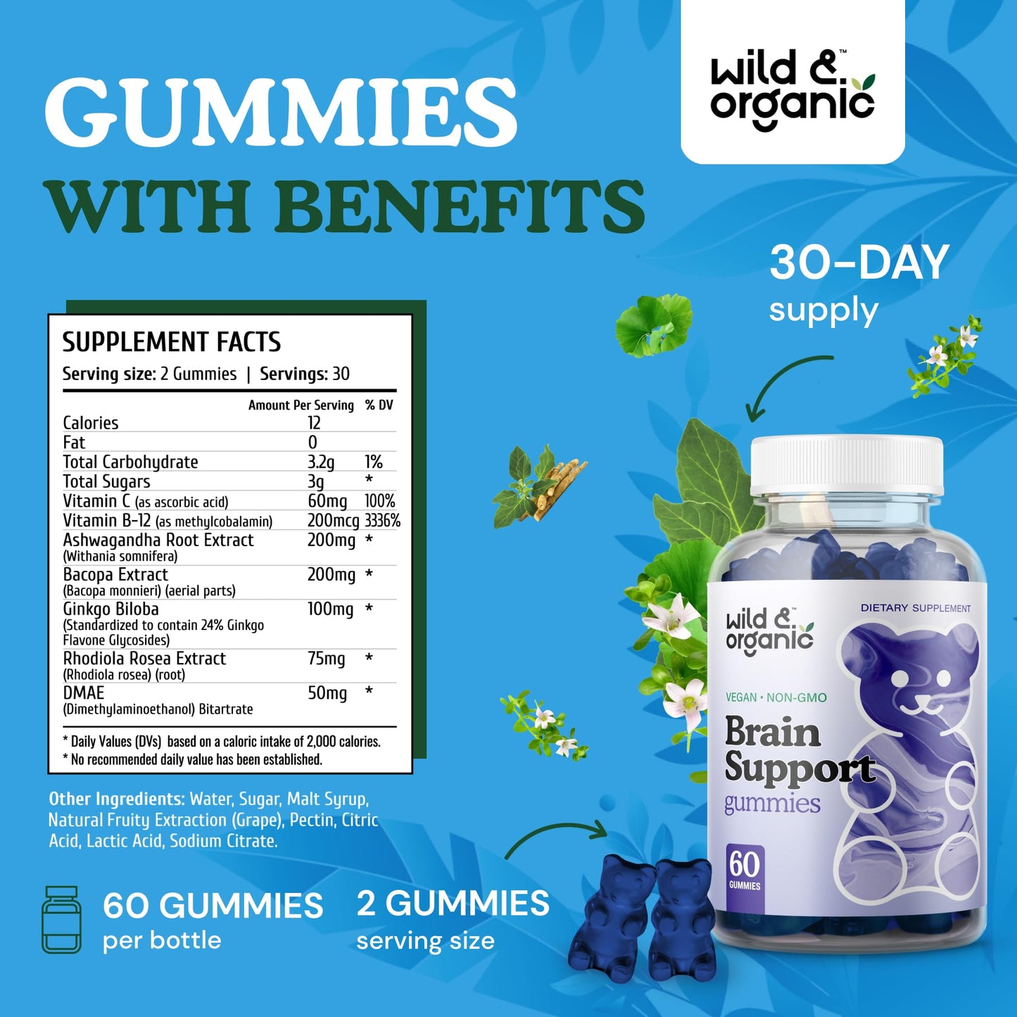 Wild & Organic Brain Support Gummies – Focus & Clarity with Ashwagandha, B12, Ginkgo, Bacopa – Vegan Gummies (Pack of 2) | 60 Gummies