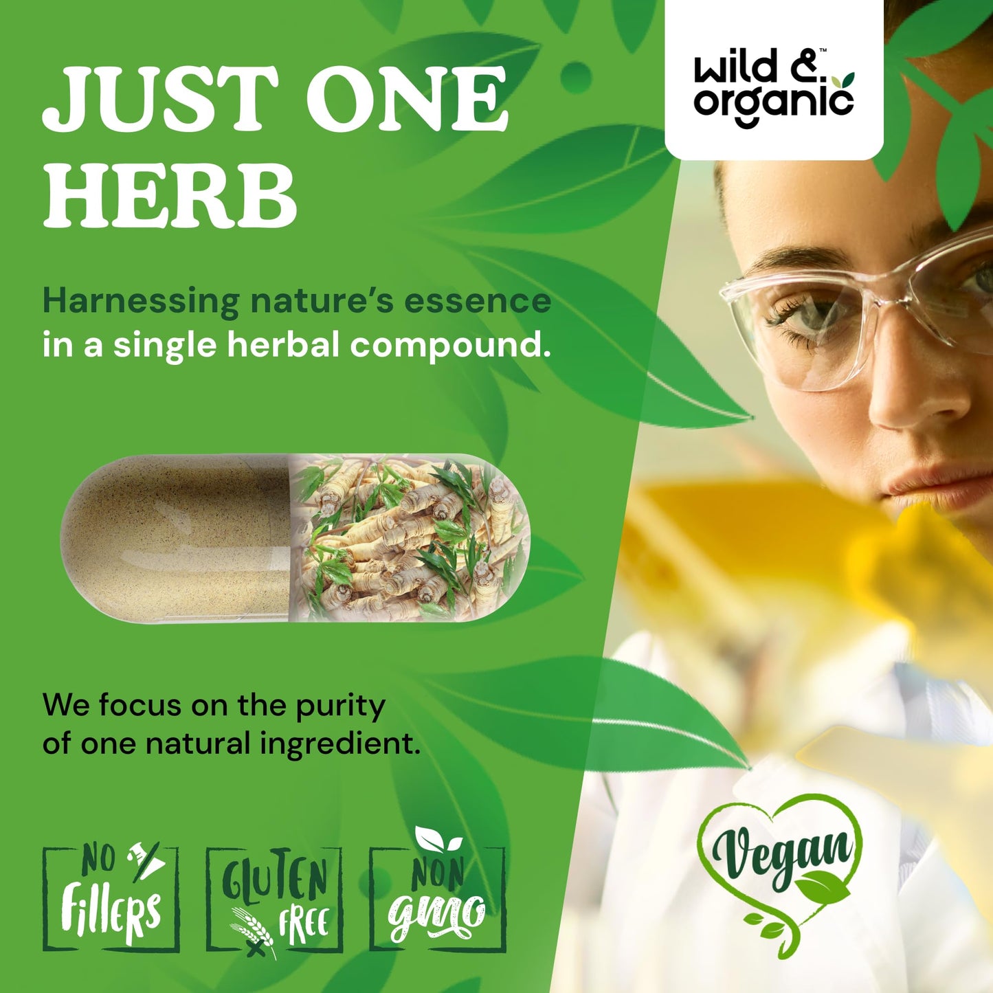 Wild & Organic Dong Quai Capsules for Women - 1000 mg, 60 Count, Vegan