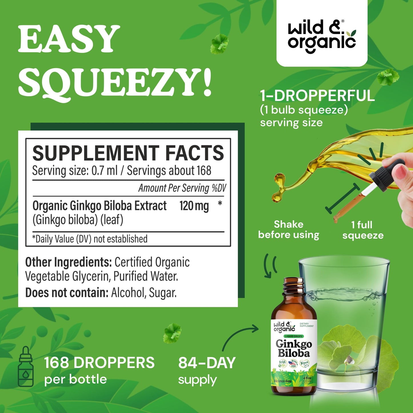 Wild & Organic Ginkgo Biloba Drops – Brain & Focus Support | 4 fl oz | Vegan, Alcohol-Free