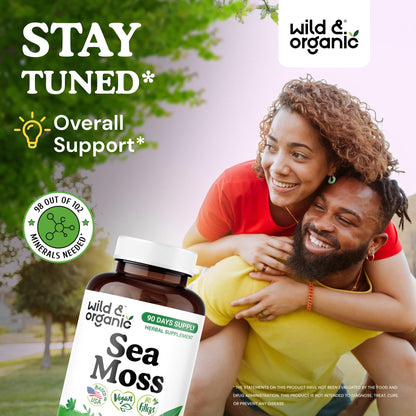 Wild & Organic Sea Moss Capsules - Irish Sea Moss Complex with Bladderwrack & Burdock Root for Overall Well-Being - 180 Vegan Capsules