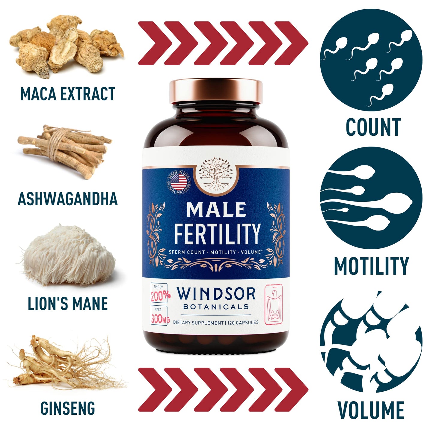 WINDSOR BOTANICALS Men's Fertility Supplements - Prenatal Vitamins 2-Pack