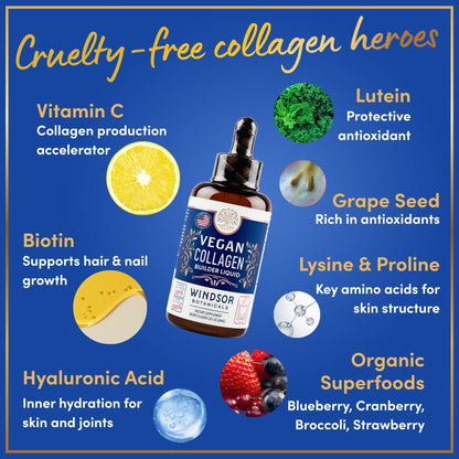 Windsor Botanicals Vegan Collagen Builder Liquid – 60-Day Supply | Vitamin C, Biotin, Hyaluronic Acid | Organic Fruits & Vegetables | 120ml