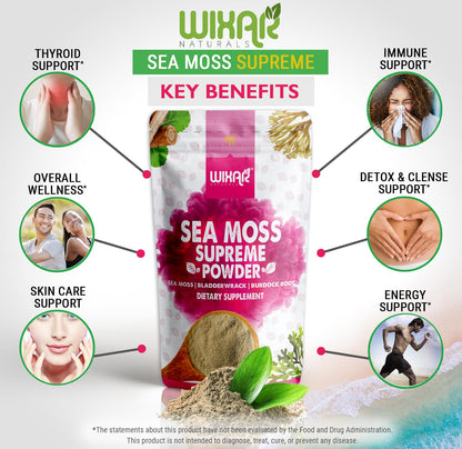 Wixar Wildcrafted Sea Moss Powder - 8oz (Irish Sea Moss + Bladderwrack)