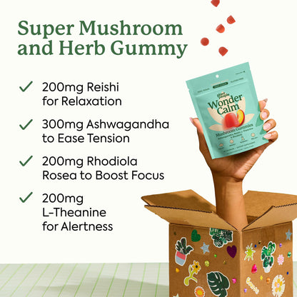 Plant People WonderCalm Mushroom Gummies – Ashwagandha Stress & Mood Support (Peach, 60 Count) – Vegan, Gluten-Free