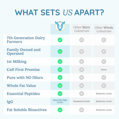 WONDERCOW Colostrum Powder for Gut Health, Immune Support & Muscle Recovery | Pure Whole Bovine Colostrum with Matcha, 60 Servings