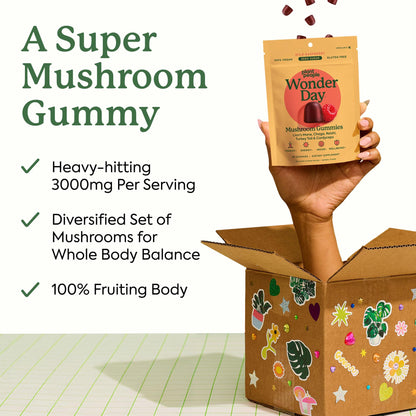 Plant People WonderDay Mushroom Gummies – Lion’s Mane, Cordyceps & Chaga for Immune Support, De-Stress, Mood & Energy (60 Count) | Vegan, Non-GMO