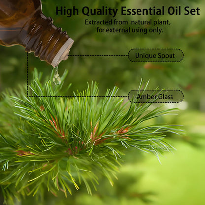 Wtrcsv Essential Oils Set – Eucalyptus, Lavender, Cedarwood & Sweet Orange | Diffuser & DIY Projects