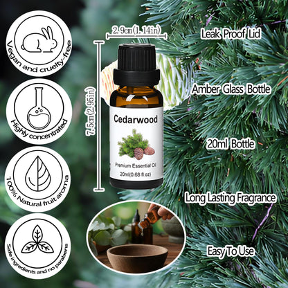 Wtrcsv Essential Oils Set – Eucalyptus, Lavender, Cedarwood & Sweet Orange | Diffuser & DIY Projects