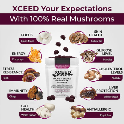 XCEED NATURE Lions Mane & Cordyceps Gummies – 60 Pcs, 10in1 Focus & Energy