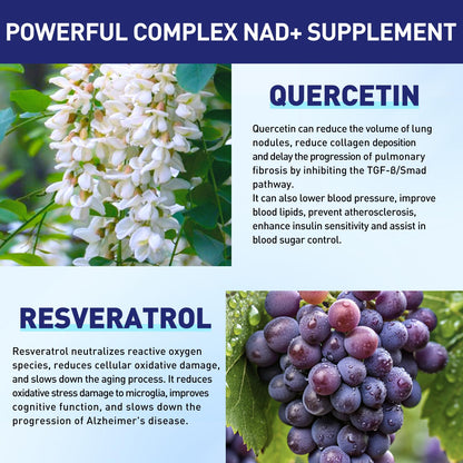 XKQ NAD+ Supplement 910mg – 60 Servings | Nicotinamide Riboside for Energy & Healthy Aging