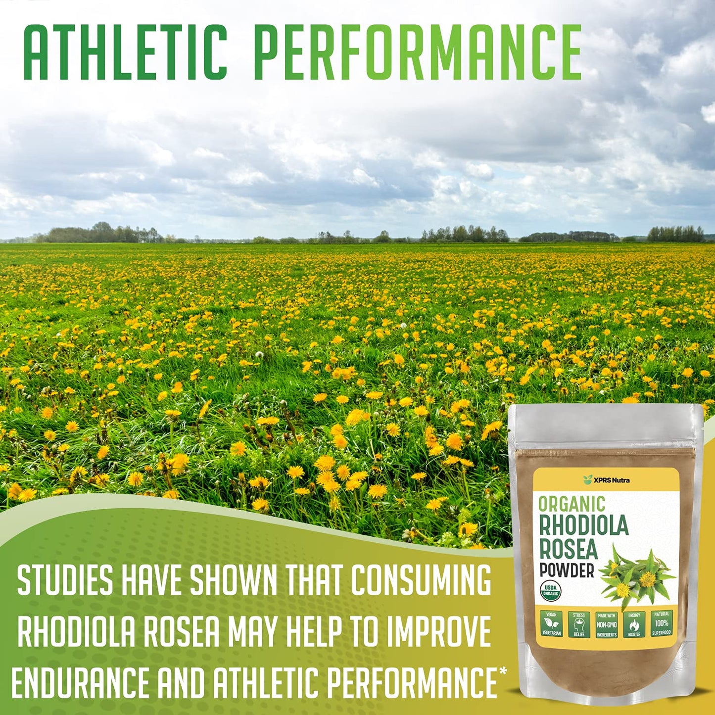 XPRS Nutra Organic Rhodiola Rosea Powder – Premium USDA Organic (4 oz)