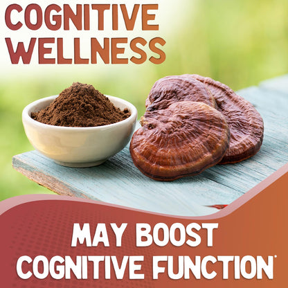 XPRS Nutra Organic Red Reishi Powder 4oz – Cognition & Energy (Vegan)