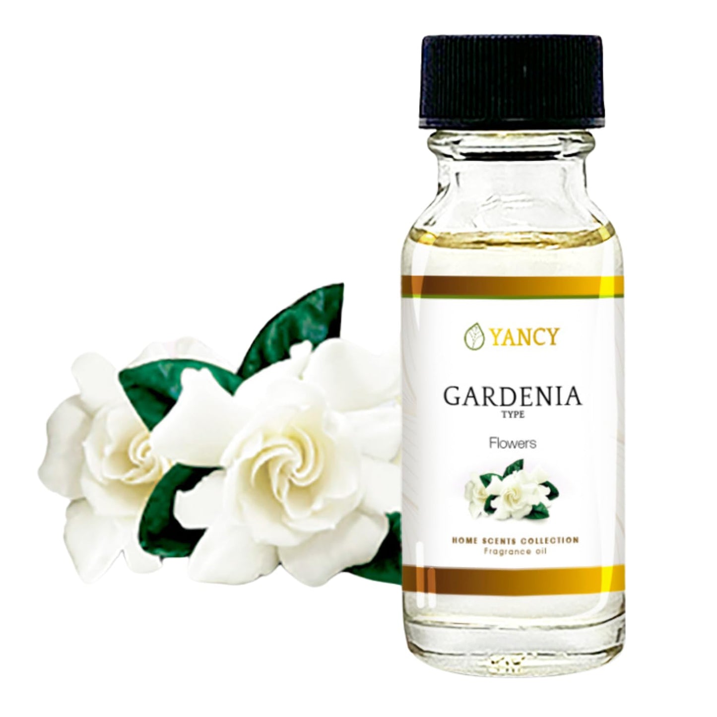 YANCY Gardenia Home Collection Fragrance Oil 1/2 oz – Pure Gardenia Scent for Diffusers & Lamps