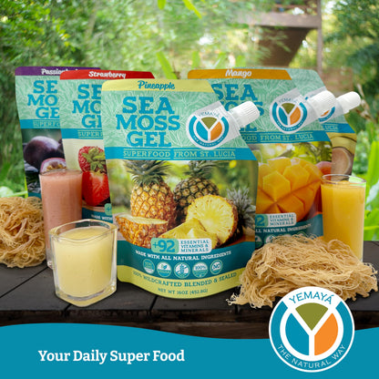 Yemayá Organic Sea Moss Gel – Wildcrafted Raw Seamoss, Strawberry, 16 oz