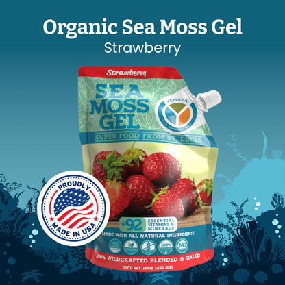 Yemayá Organic Sea Moss Gel – Wildcrafted Raw Seamoss, Strawberry, 16 oz