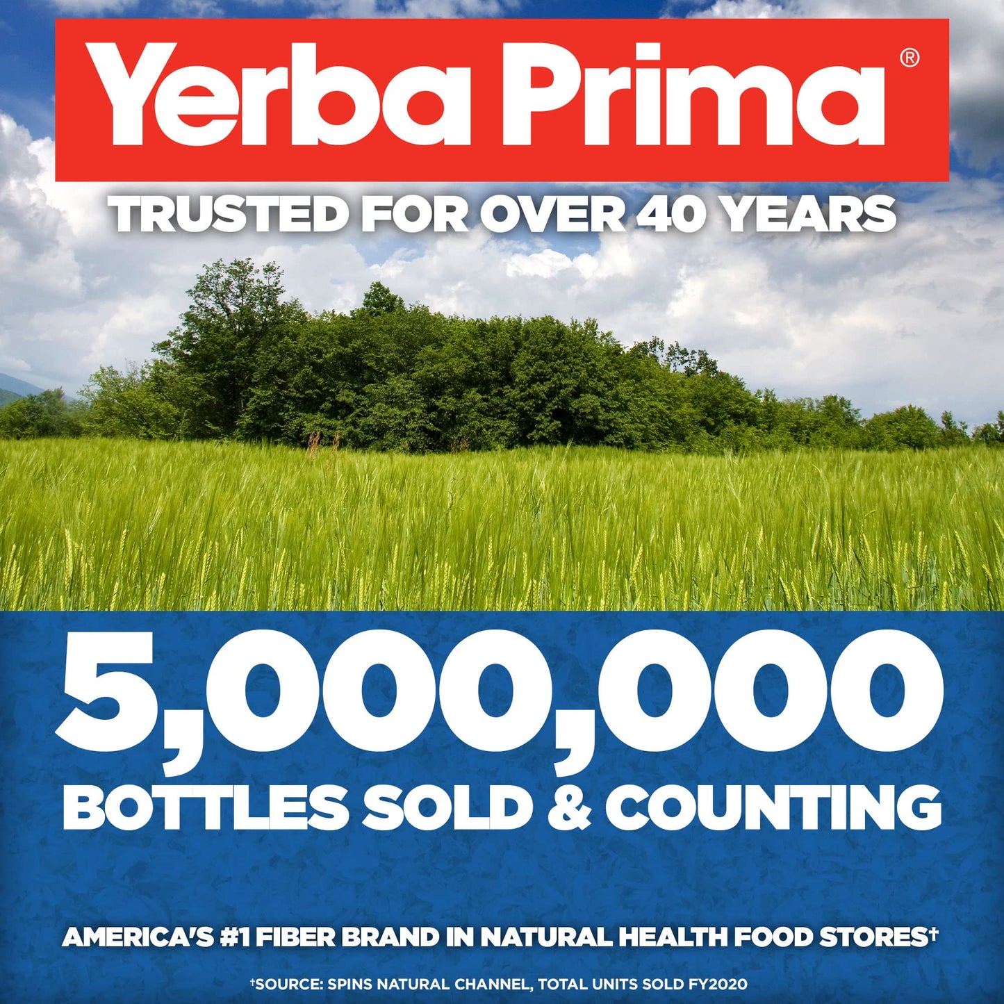 Yerba Prima Psyllium Husk Powder 12 oz (Pack of 2) – Natural Fiber Supplement