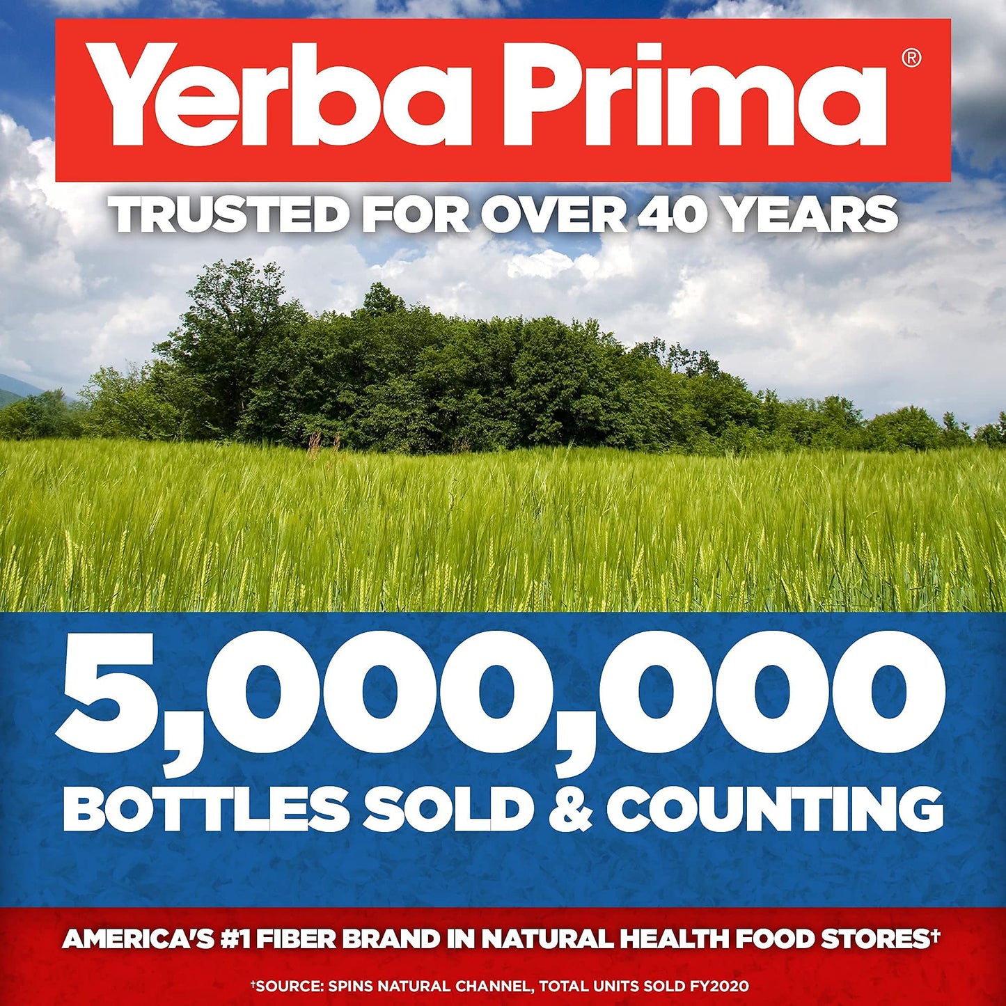 Yerba Prima Organic Psyllium Whole Husks - 20 oz Colon Cleanser | Regularity, Detox, Gluten Free, Non-GMO, Vegan