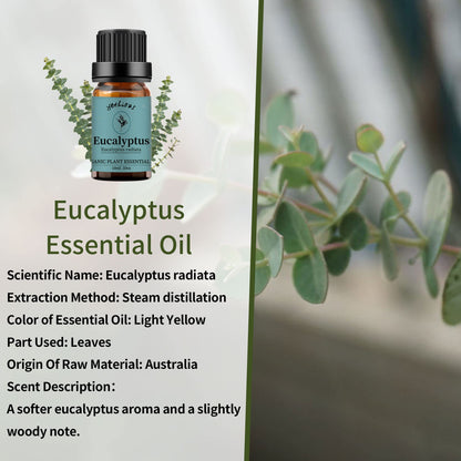 yethious Lavender Eucalyptus Essential Oil – Organic Pure Plant Lavender Oil for Diffuser, Skin & Hair Care