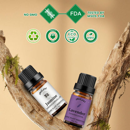 Yethious Jasmine & Lavender Essential Oil Set – Organic, Pure for Diffusers & Aromatherapy