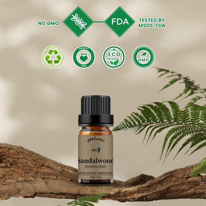 Yethious Jasmine Sandalwood Essential Oil Set – 100% Pure & Organic