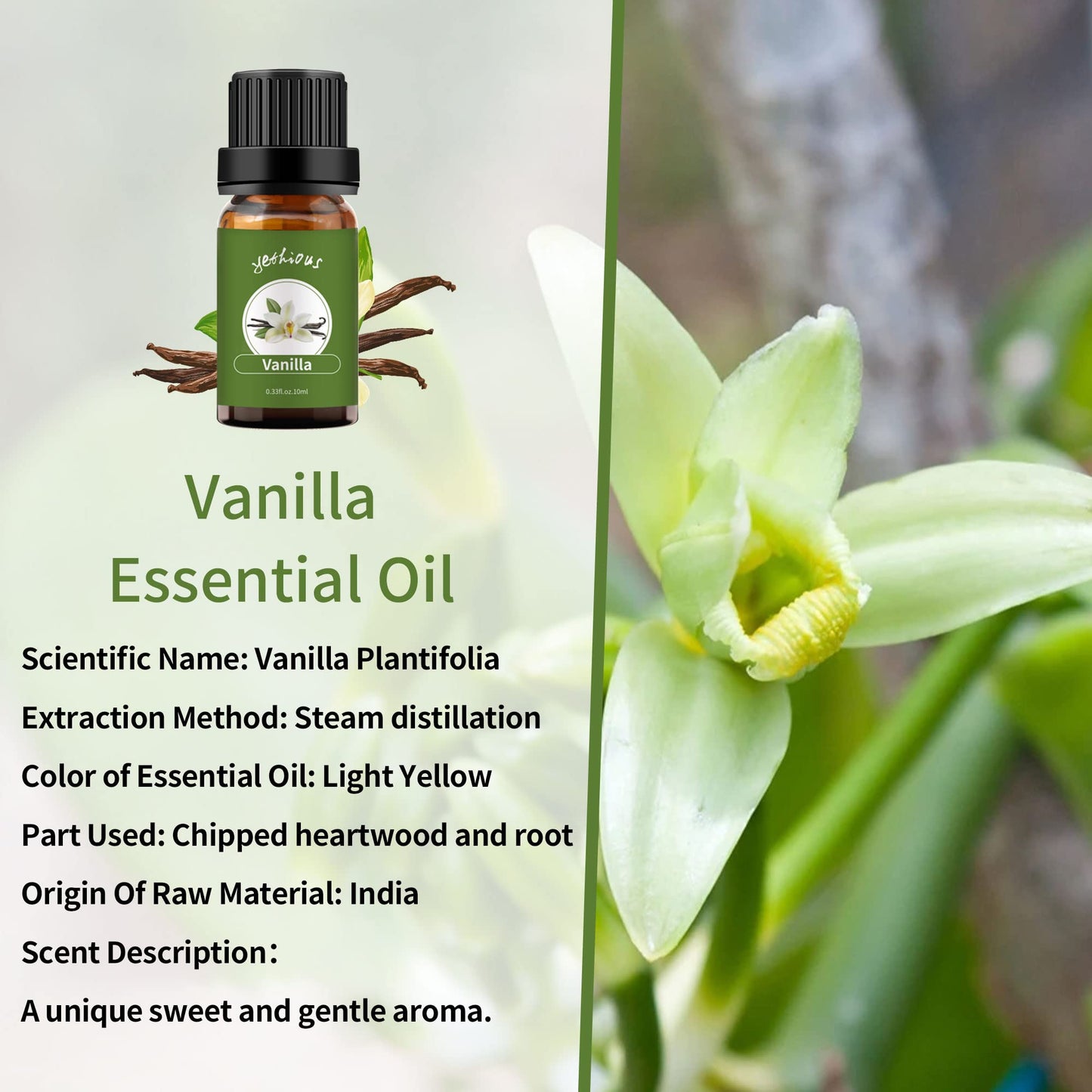 Yethious Lavender Vanilla Sandalwood Essential Oil - 100% Pure Organic Lavender Oil for Diffuser, Aromatherapy, Skin & Massage