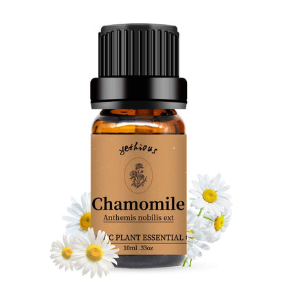 Yethious Organic Chamomile Essential Oil – 100% Pure, GCMS Certified | 10 ml