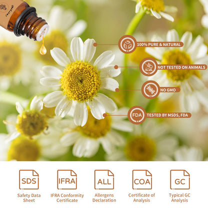 Yethious Organic Chamomile Essential Oil – 100% Pure, GCMS Certified | 10 ml