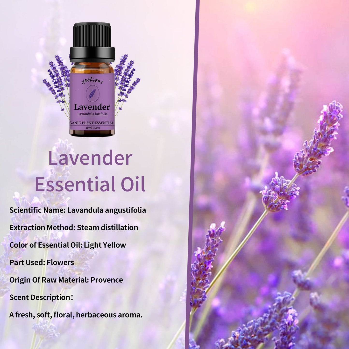 Yethious Sandalwood & Lavender Essential Oil Set – 2 x 10ml, 100% Pure, Undiluted, Organic Aromatherapy Oils